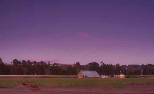 P9190496-Fortuna-Luminar.jpg